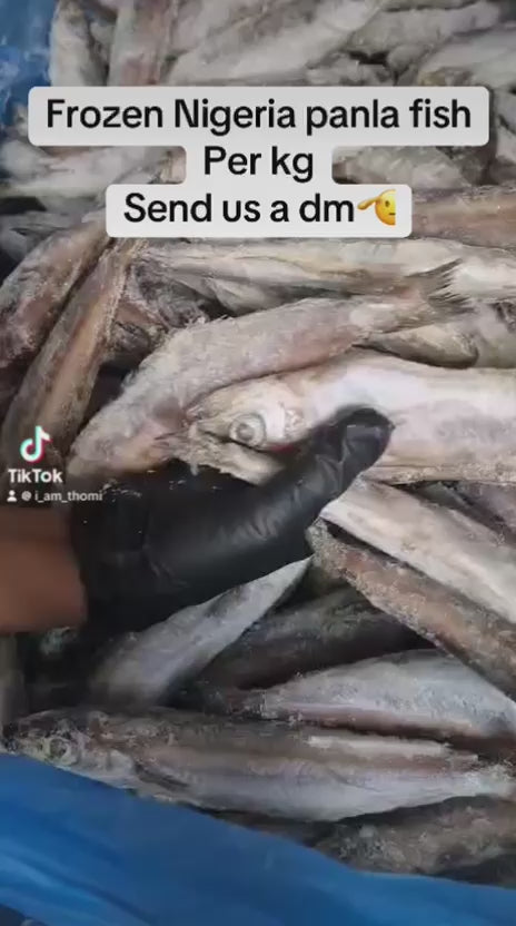 Panla Frozen Fish Per Kg
