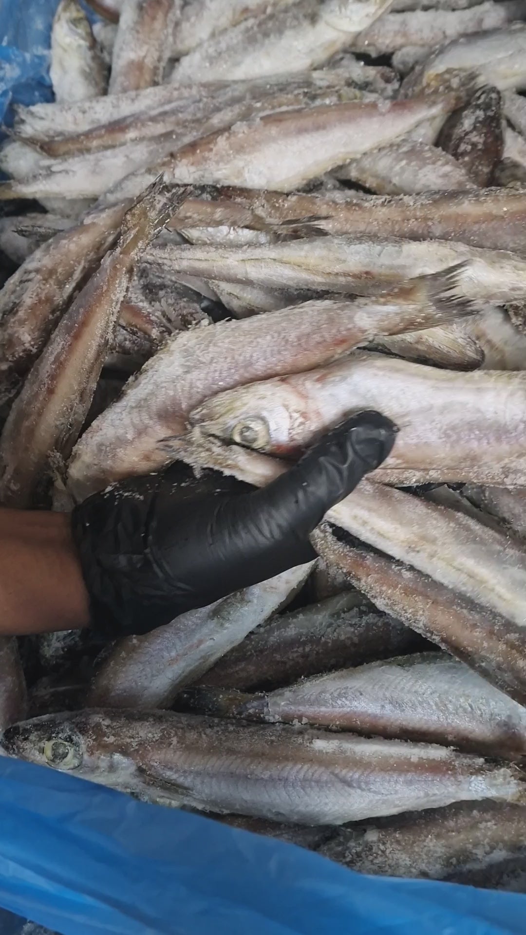 Panla Fish Frozen 1kg