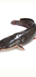 Catfish half carton