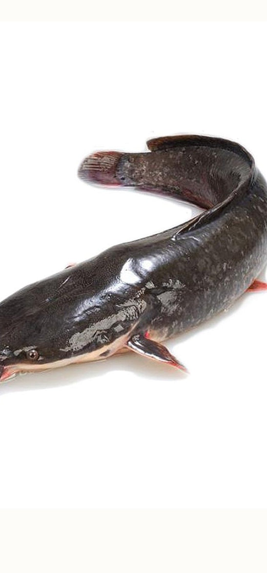 Catfish half carton