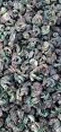 Periwinkle Dried 150g