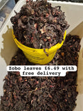 Zobo Leaves Full Paint