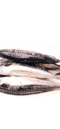 Frozen Mackerel Fish 1kg
