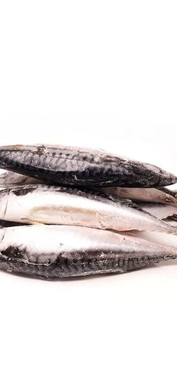 Frozen Mackerel Fish 1kg